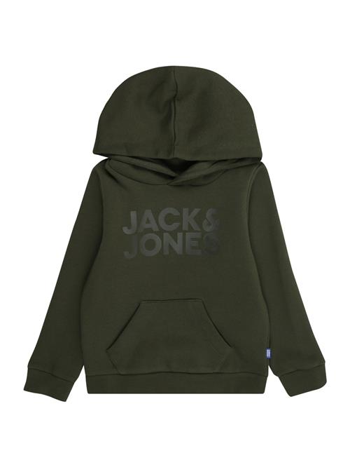 JACK & JONES MINI Sweatshirt  oliven / gran