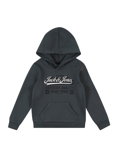 JACK & JONES MINI Sweatshirt  grå / hvid