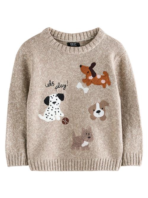 Next Pullover  brun / lysebrun / sort / hvid