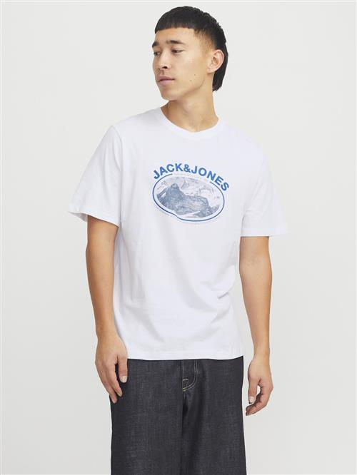 JACK & JONES Bluser & t-shirts  blå / opal / hvid