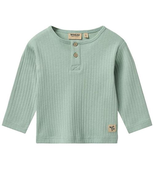 Wheat Bluse - Rib - Morris - Green Pool