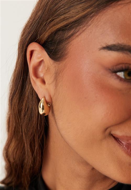 Pilgrim Intent Earrings Gold-plated