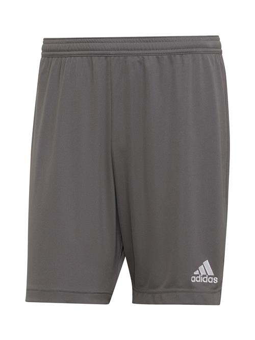 ADIDAS PERFORMANCE Sportsbukser 'Entrada 22'  basalgrå / hvid