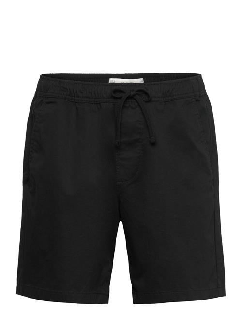 Hollister | Hco. Guys Shorts | L