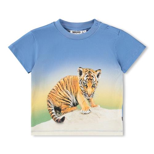 Molo GOTS Enzo T-shirt Tiger Cub  Tiger Cub 98 cm  Blå  98 cm  mand