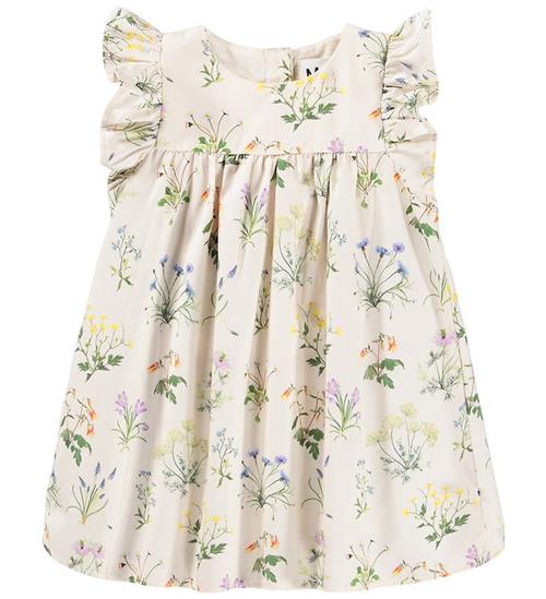 Molo Kjole - Bomuldspoplin - Cacao - Primavera