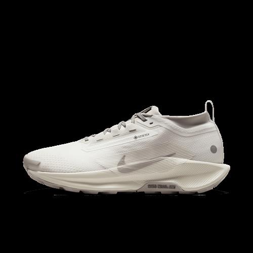 Vandtætte Nike Pegasus Trail 5 GORE-TEX SP-trailløbesko til mænd - hvid