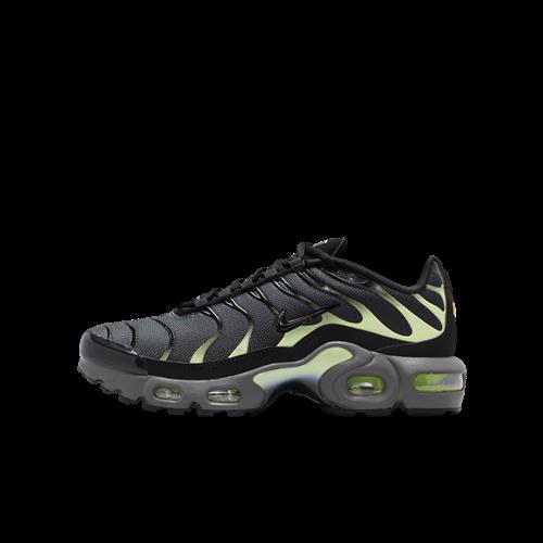 Nike Air Max Plus-sko til større børn - grå