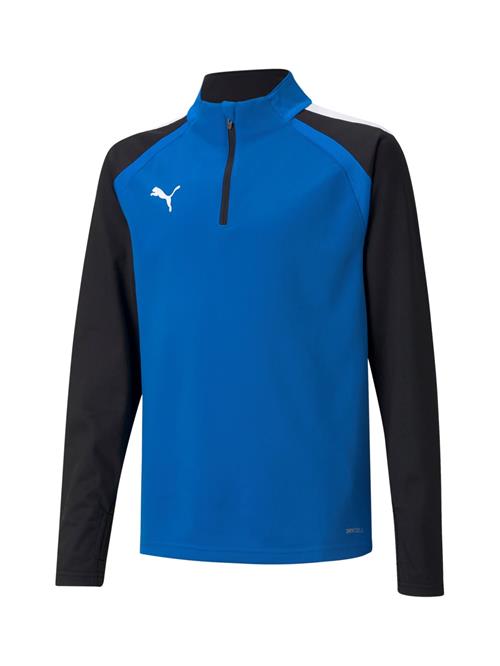 PUMA Sportsweatshirt  natblå / royalblå
