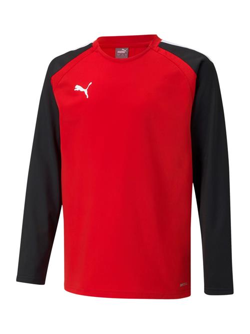 PUMA Funktionsskjorte 'TeamLiga'  rød / sort / hvid