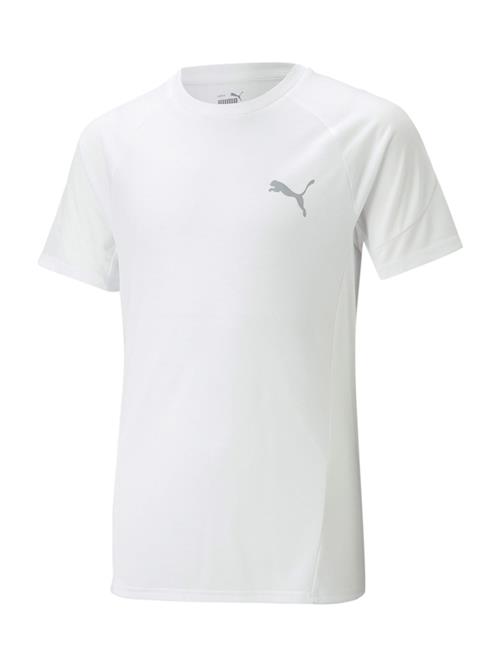 PUMA Funktionsskjorte 'Evostripe'  sølvgrå / offwhite