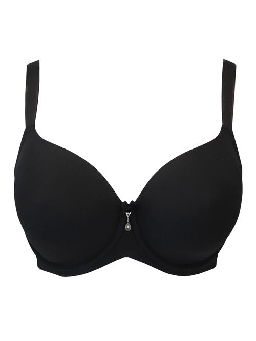 SugarShape BH 'True'  sort