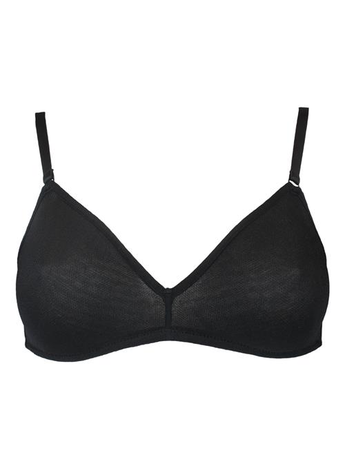 SugarShape BH 'Airyn'  sort