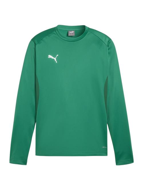 PUMA Sportsweatshirt 'teamGOAL'  grøn / hvid