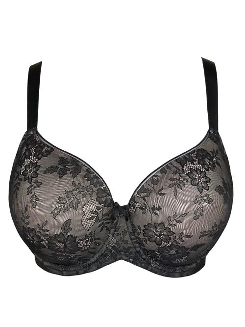 SugarShape BH 'True'  sort