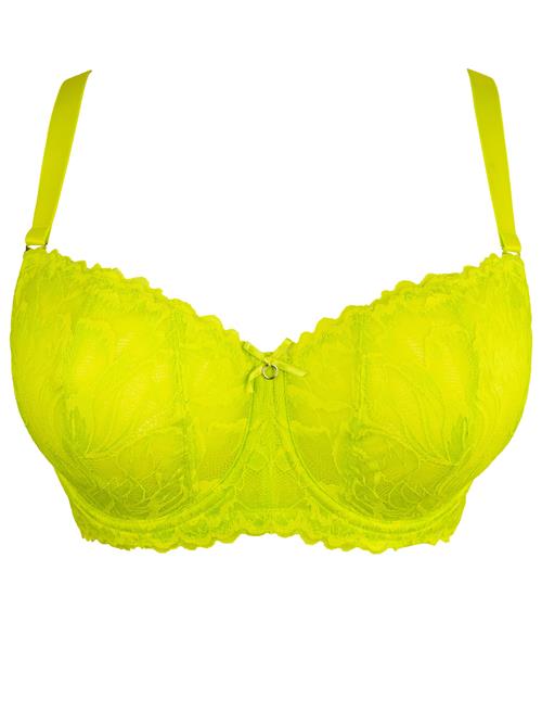 SugarShape BH 'Cariba'  lemon