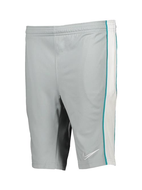 NIKE Sportsbukser  cyanblå / grå / hvid