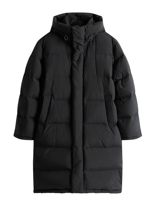 Tommy Jeans | Tjm Hooded Down Maxi Puffer | XL