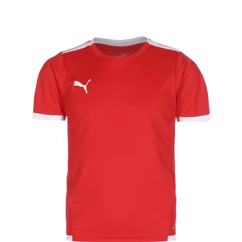 PUMA Funktionsskjorte 'TeamLiga'  rød / hvid