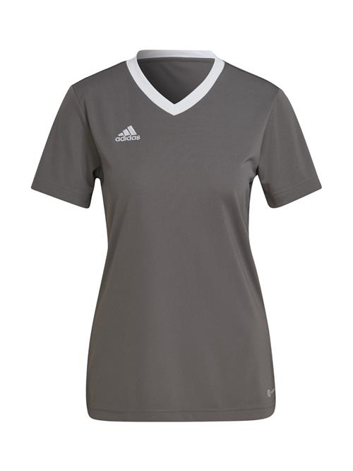 ADIDAS PERFORMANCE Fodboldtrøje 'Entrada 22'  mørkegrå / hvid