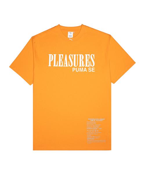 PUMA Funktionsskjorte  grå / orange / hvid