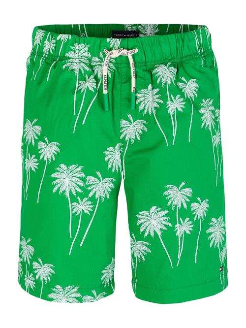 TOMMY HILFIGER Bukser  grøn / offwhite