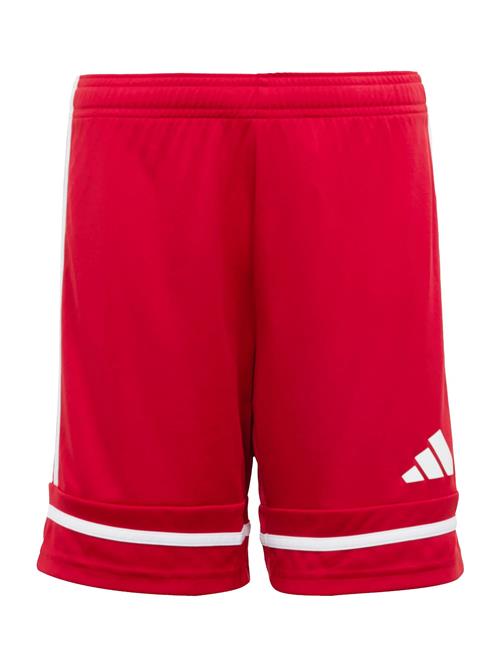ADIDAS PERFORMANCE Sportsbukser 'Squadra 25'  carminrød / hvid