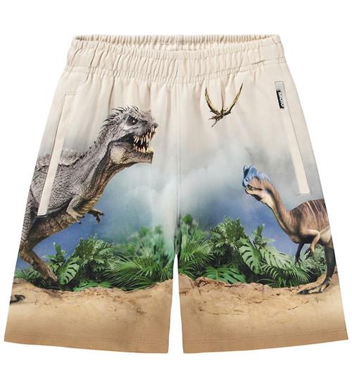 Molo Shorts - Amil - Hot Spring Dinos