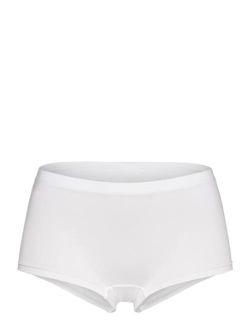 CCDK Copenhagen | Modal Shorts Brief | M