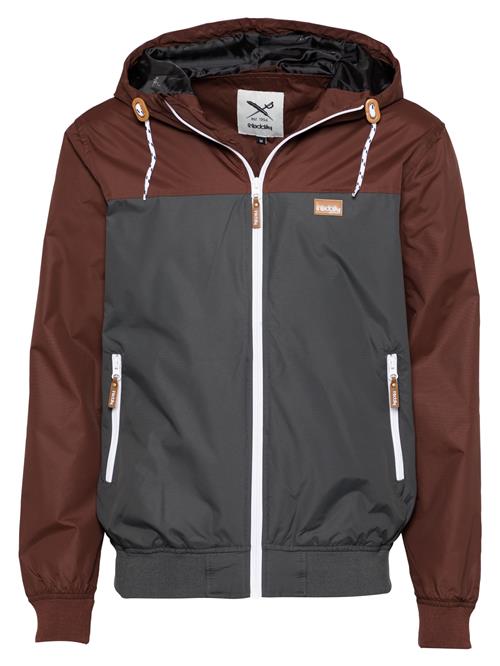 Iriedaily Overgangsjakke 'Auf Deck'  choko / mørkegrå