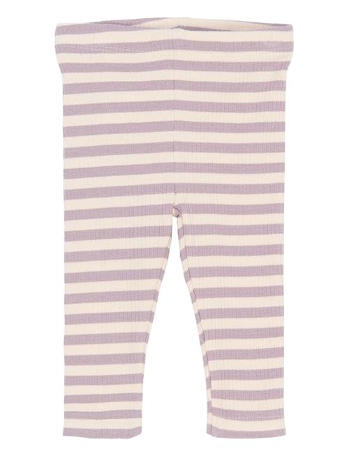 The New | Tnsbfro Rib Leggings | 86