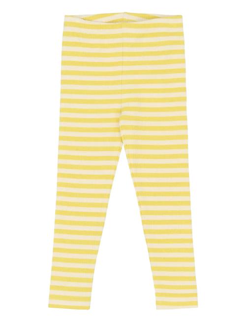 The New | Tnstfro Rib Leggings | 110