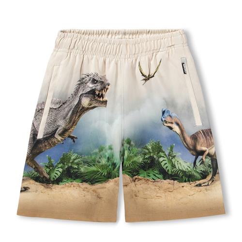 Molo GOTS Amil Sweat Shorts Hot Spring Dinos  Hot Spring Dinos 110 cm  Creme  110 cm  mand