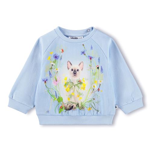 Molo GOTS Disc Sweatshirt Meadow Kitten  Meadow Kitten 62 cm  Blå  62 cm  kvinde