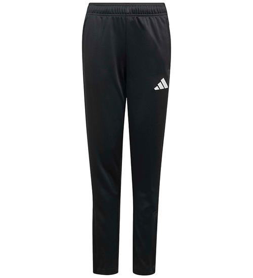 adidas Performance Træningsbukser - ENT26 TR PNT Y - Black/White