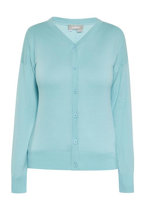 Usha Cardigan  aqua