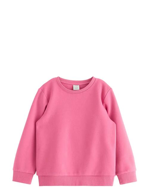 Lindex | Sweatshirts Solid Basic | 110