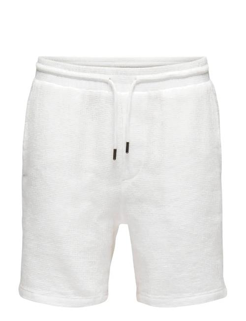 ONLY & SONS | Onsbertil Waffle Shorts | M