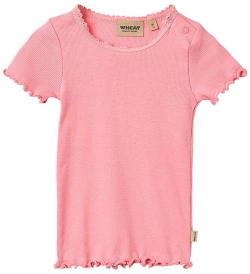 Wheat T-shirt - Rib - Katie - bubblegum