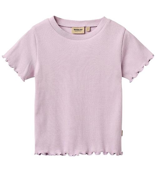wheat T-shirt - rib - Alicia - Lavender