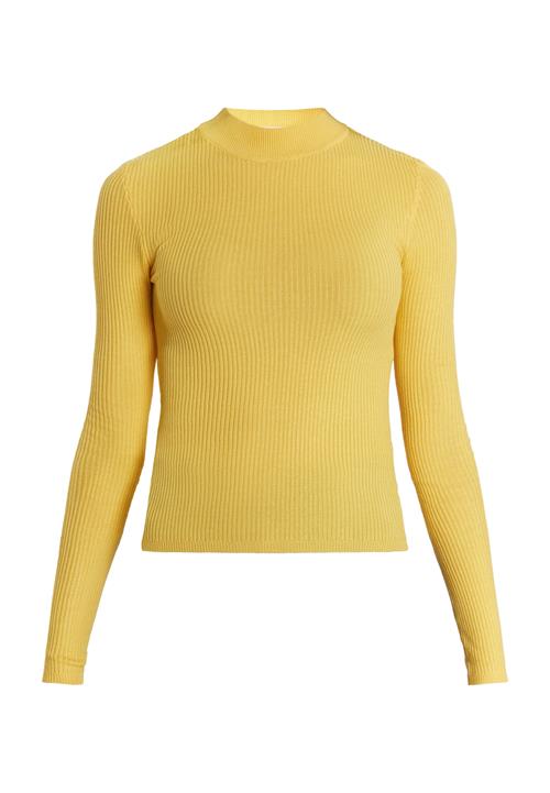 MYMO Pullover 'Biany'  gul