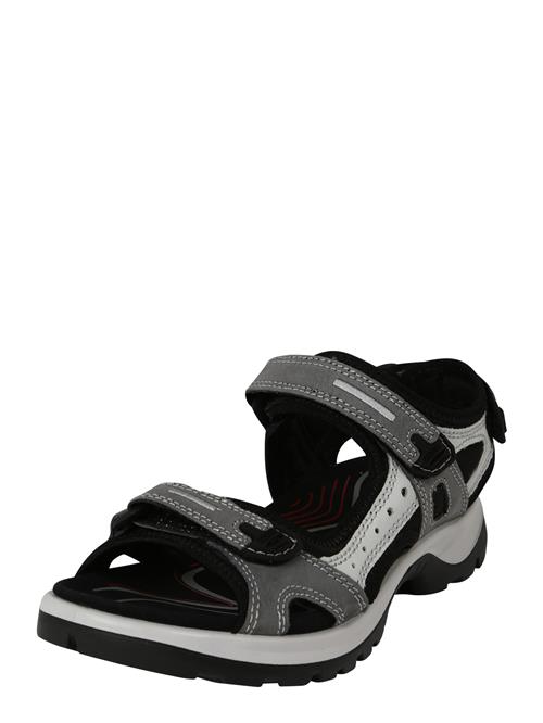 ECCO Trekkingsandaler 'Offroad'  grå / lysegrå / sort