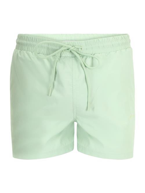 Sinned x ABOUT YOU Badeshorts 'ALEJANDRO'  mint