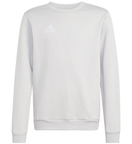 adidas Performance Sweatshirt - ENT26 SW TOPY - Tmlggr/White