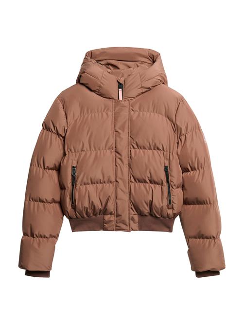 Superdry & Co Vinterjakke  brun