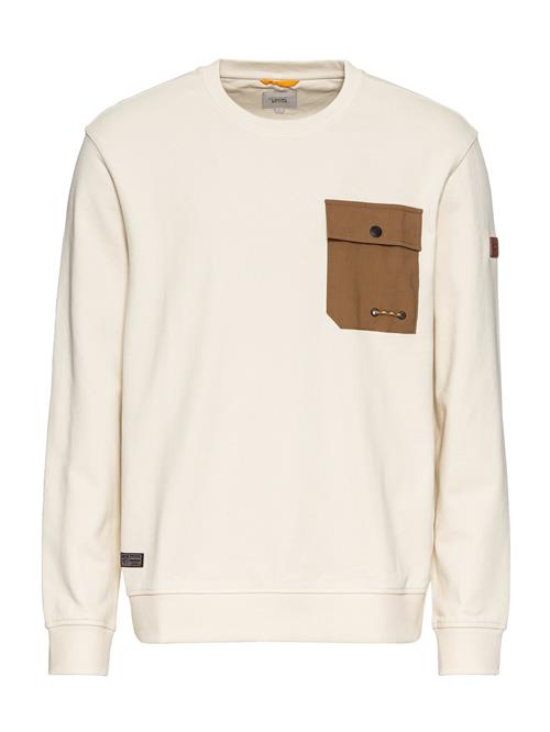 CAMEL ACTIVE Sweatshirt  creme / sepia