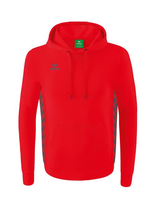 ERIMA Sportsweatshirt  grå / rød