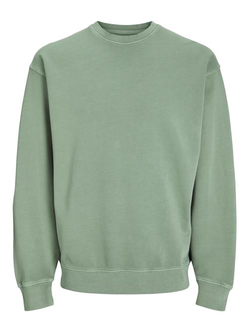 JACK & JONES Sweatshirt 'JJECharge'  lysegrøn