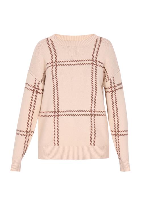 SANIKA Pullover  beige / mørkebrun