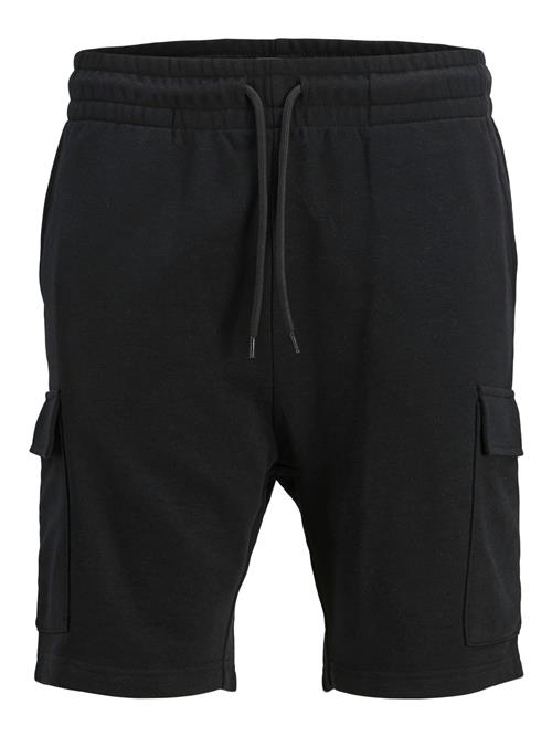 JJ Rebel Cargobukser 'JREBGORM'  sort